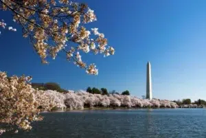 Excursion de Nueva York Washington 1 Dia