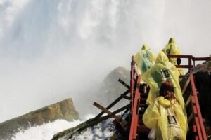 Es una oportunidad que no te puedes perder.